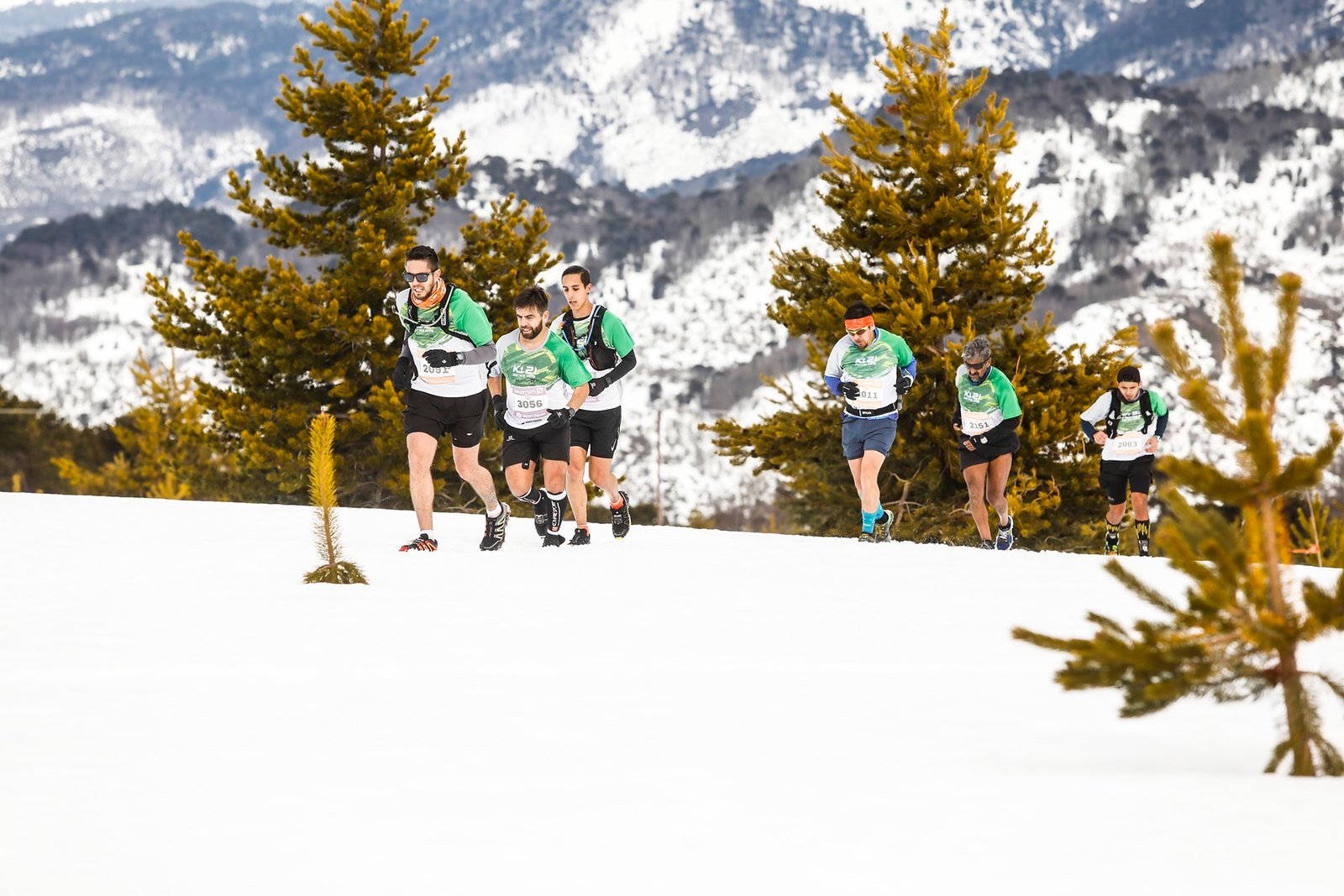 K21 Villa Pehuenia 2019 (3)
