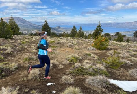 K21 Villa Pehuenia (2)