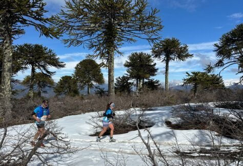 K21 Villa Pehuenia (4)