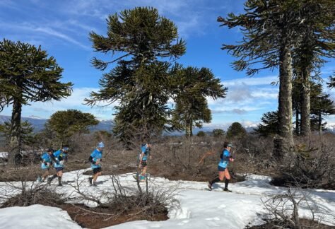 K21 Villa Pehuenia (7)