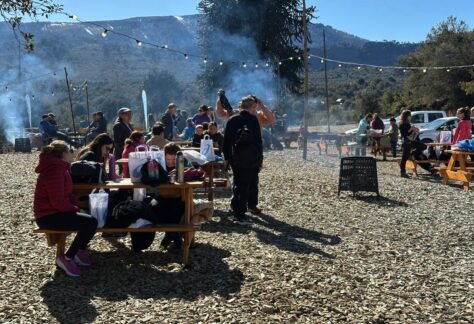 K21 Villa Pehuenia (9)