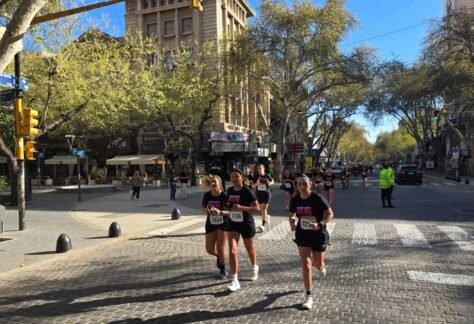 Mc Donalds Run M5K M10K (85)