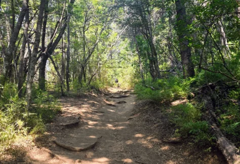 Bariloche Circuito Playa Muñoz (5)