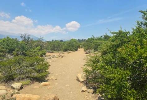 Bariloche Circuito Playa Muñoz (6)