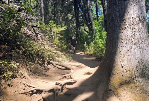 Cerro Llao Llao Bariloche (4)