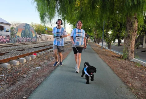 Vendmia Nocturna (12)