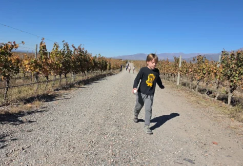 AlPasión Walk or Run 5K (23)