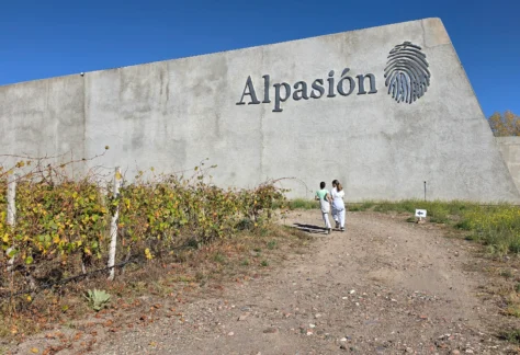 AlPasión es una propuesta que une running y vino.