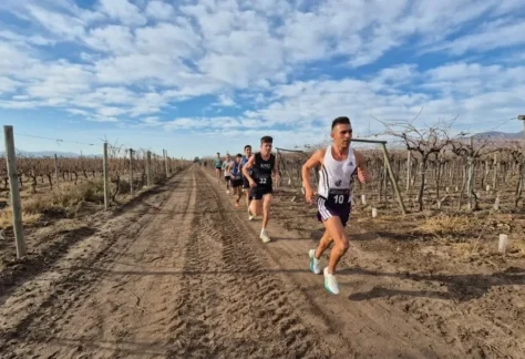 Bruno Barsotti Entre Viñas