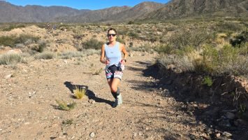 Cross Betancourt AMaVeT (41)