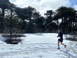 K21 Villa Pehuenia (12)