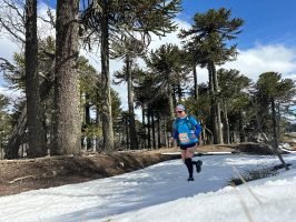 K21 Villa Pehuenia (14)