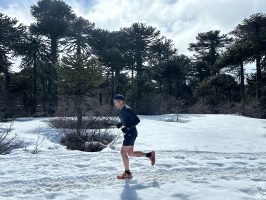 K21 Villa Pehuenia (15)