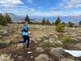 K21 Villa Pehuenia (2)