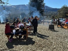 K21 Villa Pehuenia (9)