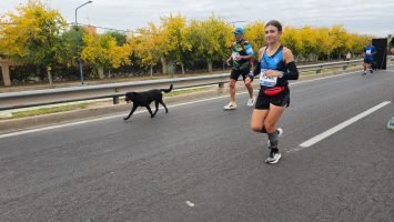 MIM Maratón Internacional Mendoza (762)