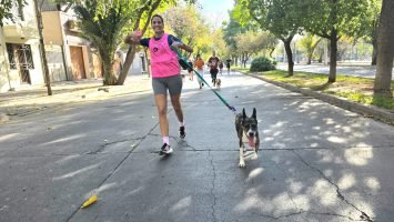 Maratón Animal (13)