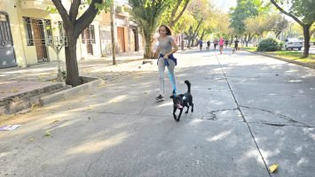 Maratón Animal (15)