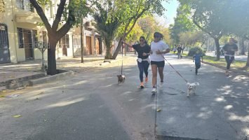 Maratón Animal (17)