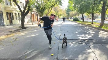 Maratón Animal (25)