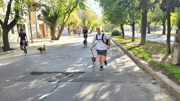 Maratón Animal (29)