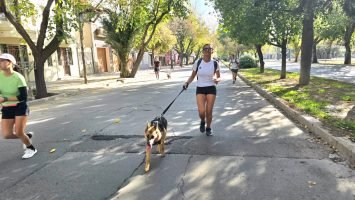 Maratón Animal (30)