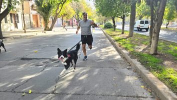 Maratón Animal (32)