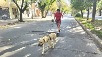 Maratón Animal (34)