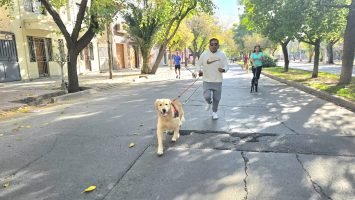 Maratón Animal (37)