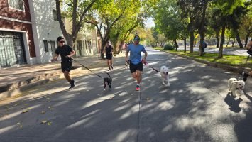 Maratón Animal (46)