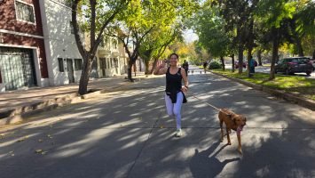 Maratón Animal (48)