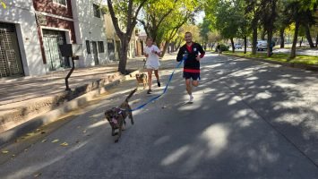 Maratón Animal (49)