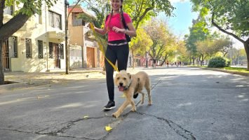 Maratón Animal (5)