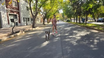 Maratón Animal (50)