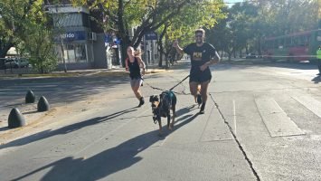 Maratón Animal (57)
