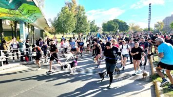 Maratón Animal (61)