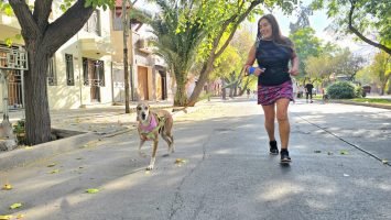 Maratón Animal (7)