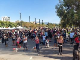 Maratón Animal Ciudad de Mendoza (2)