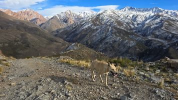 Trail Rotary Manzano Histórico (54)
